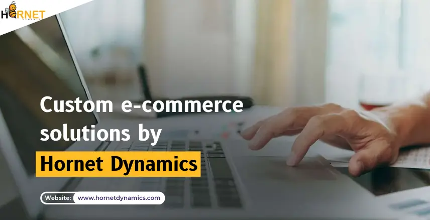 Custom Ecommerce solutions by Hornet Dynamics