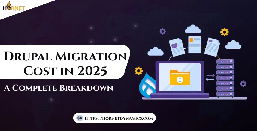 Drupal Migration Cost in 2025: A Complete Breakdown  