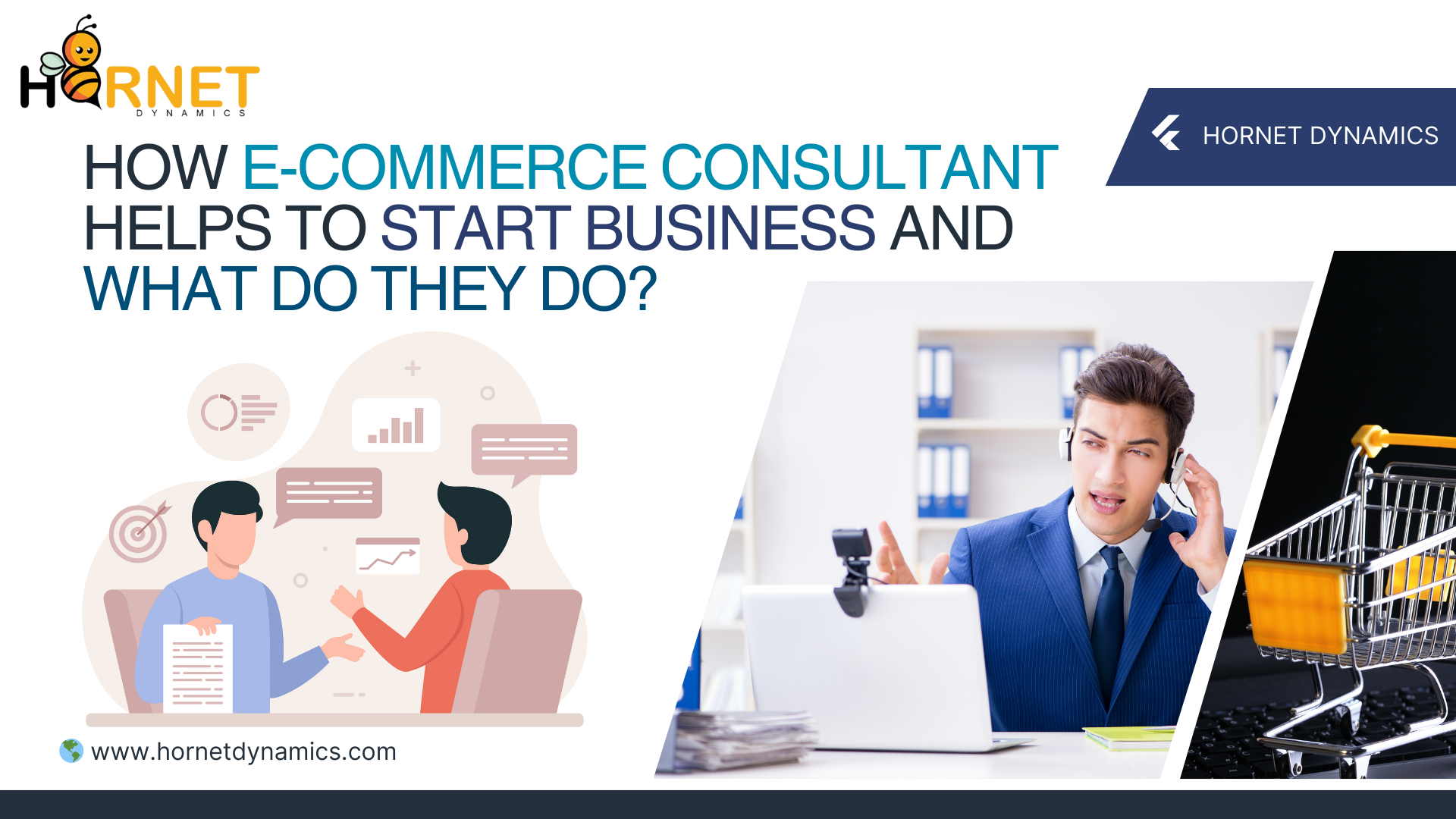 E-Commerce Consultant