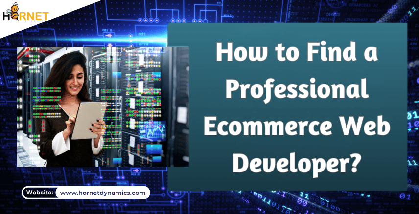 Ecommerce Web Developer  