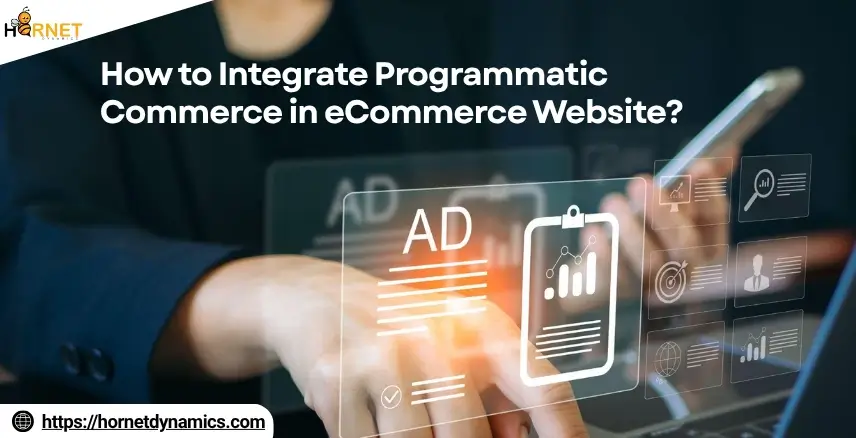 How to Integrate Programmatic Commerce in eCommerce Website?  