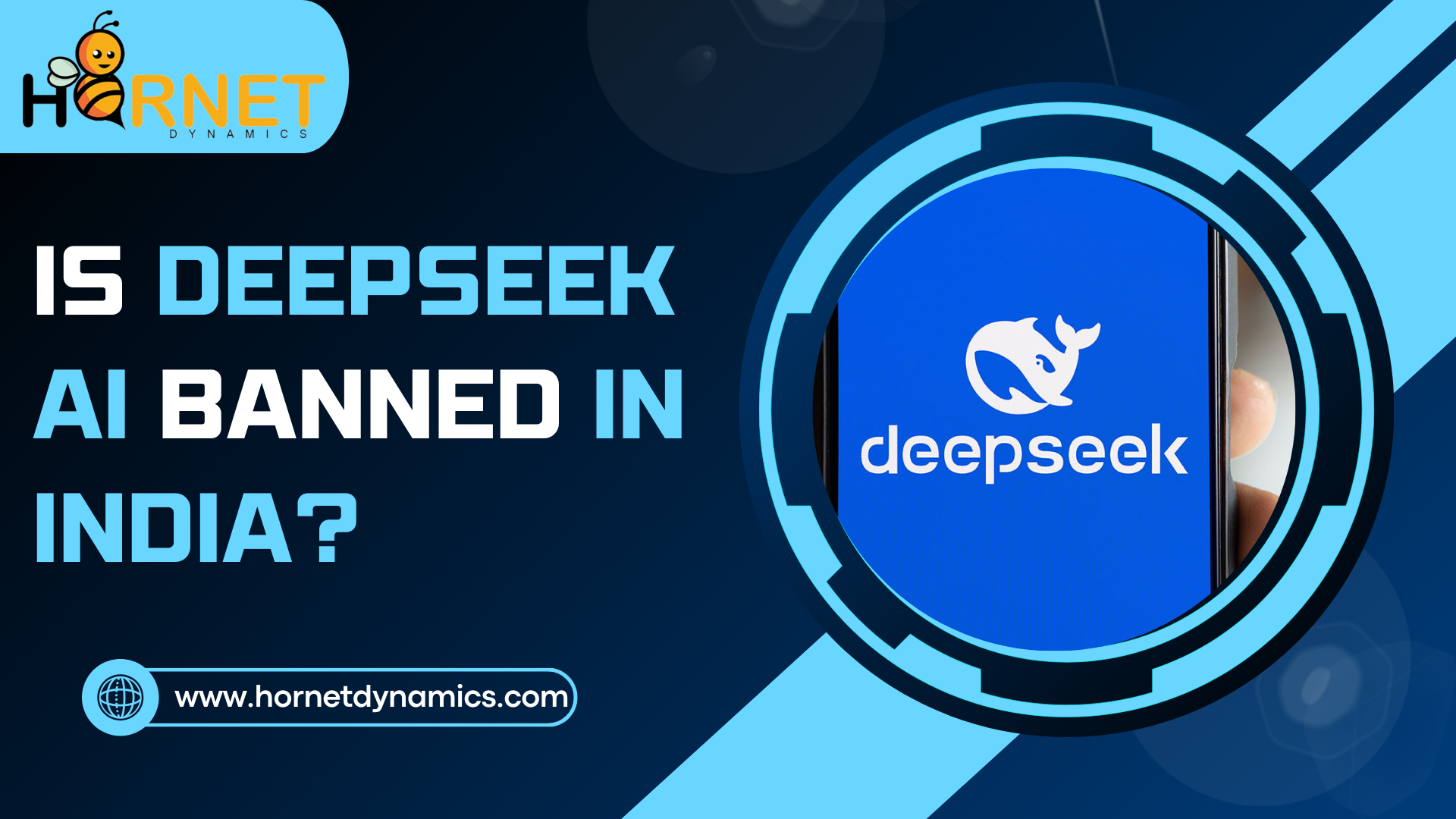 Deepseek ai is banned in india