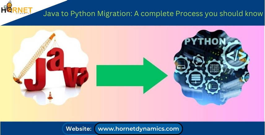 Java to Python Migration  