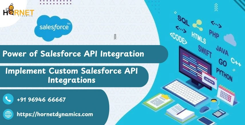 Power of Salesforce API Integration
