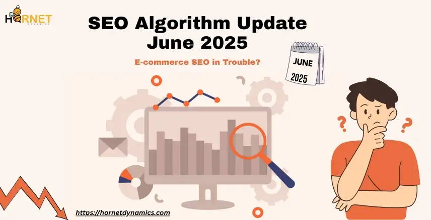 SEO Algorithm Update June 2025: E-commerce SEO in Trouble?  