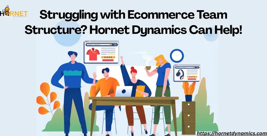 Struggling with Ecommerce Team Structure? Hornet Dynamics Can Help!  
