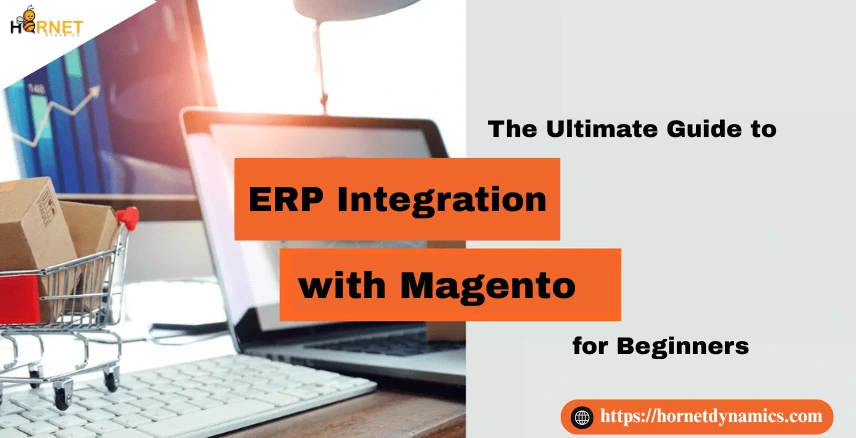 The Ultimate Guide to ERP Integration with Magento for Beginners  