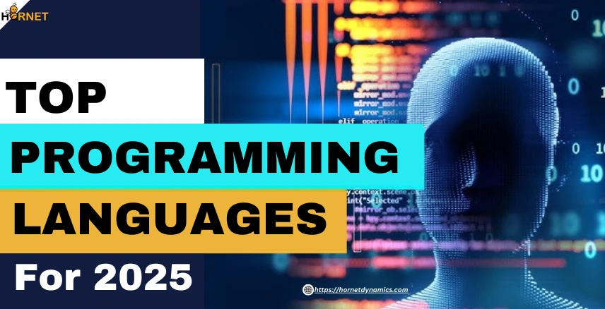 Top programming languages for 2025