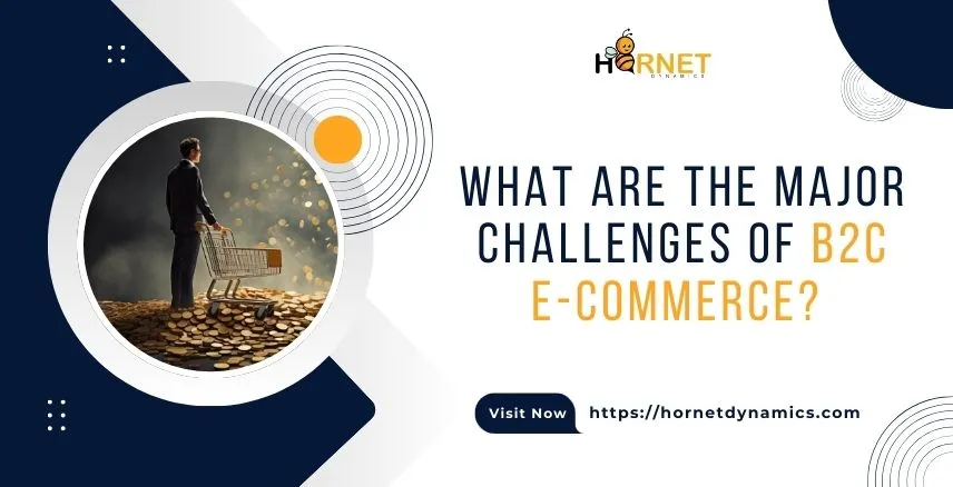 What are the major challenges of b2c e-commerce?  