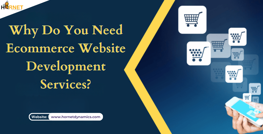 Why Do You Need Ecommerce Website Development Services  