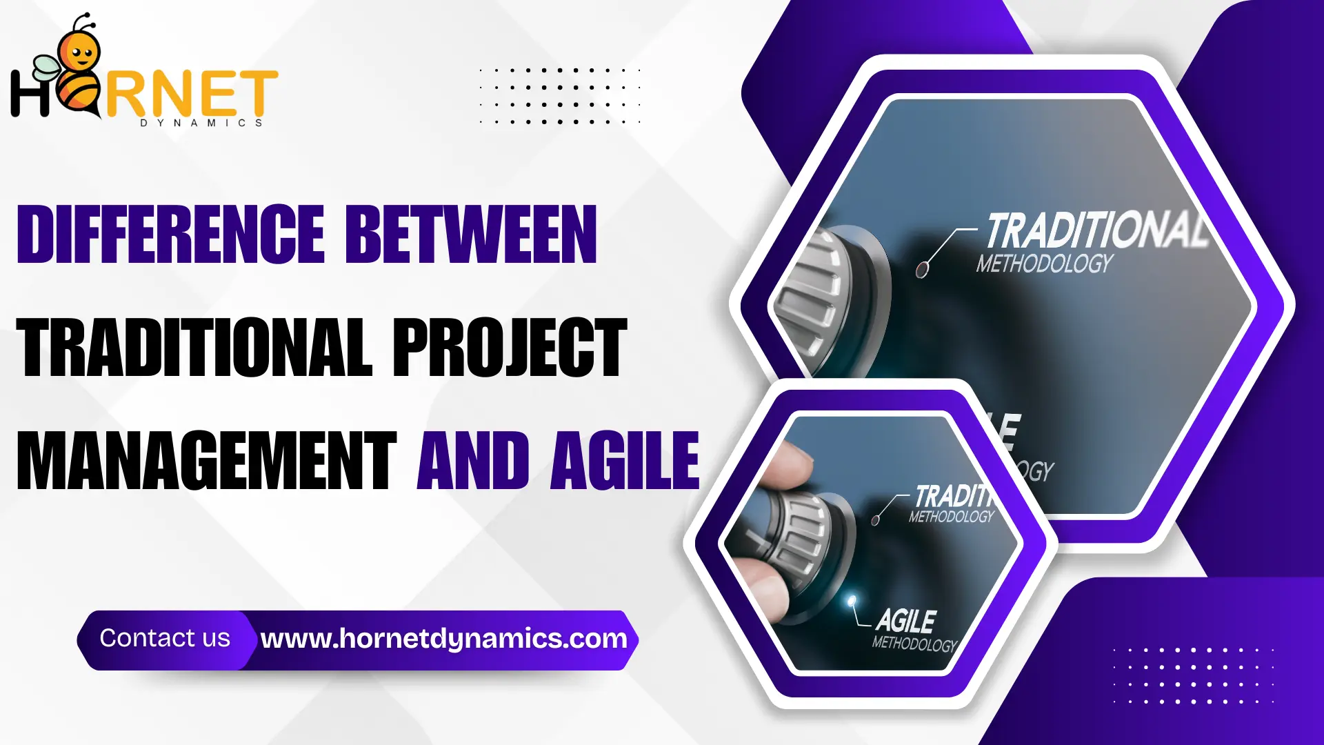 Difference between traditional project management and agile  