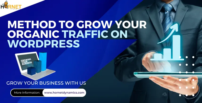 Method to Grow Your Organic Traffic on WordPress
