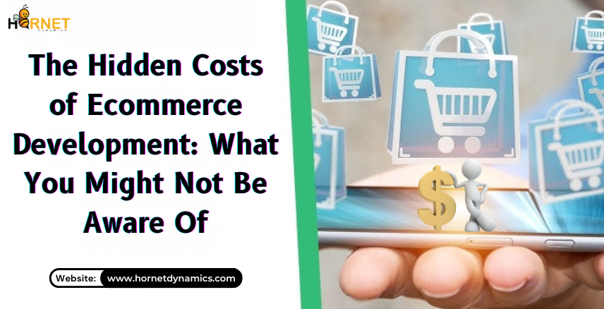 The Hidden Costs of Ecommerce Development: What You Might Not Be Aware Of  