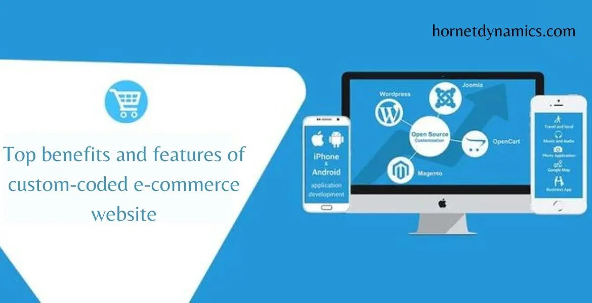 Top benefits and features of custom-coded e-commerce website  