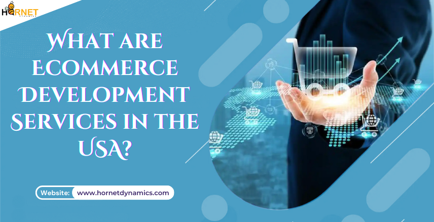 What are Ecommerce Development Services in the USA?  