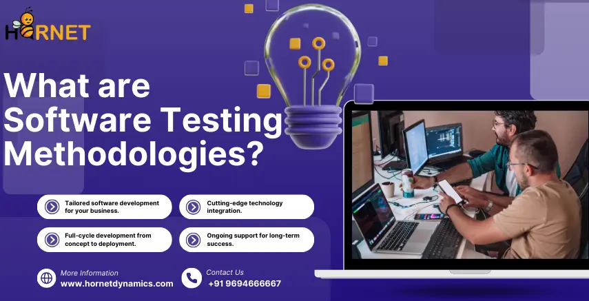 What are Software Testing Methodologies?  