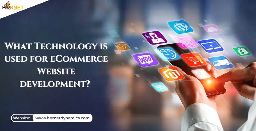 What Technology is used for eCommerce Website development?  