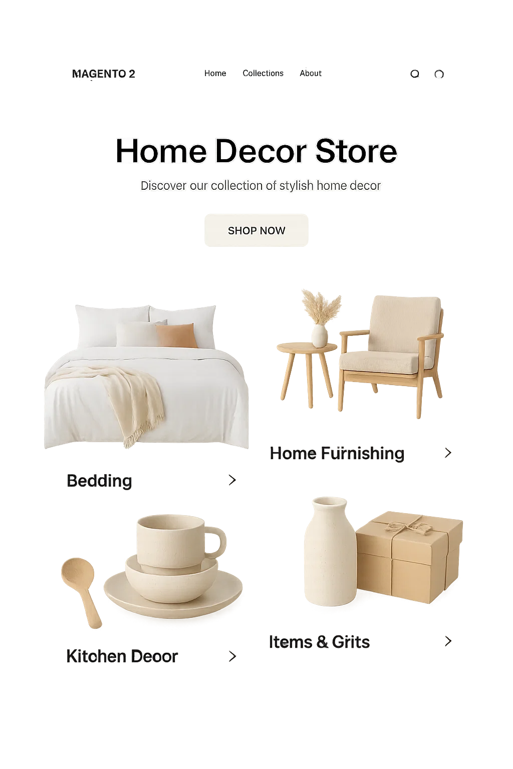 Hire Best Ecommerce Website Developer