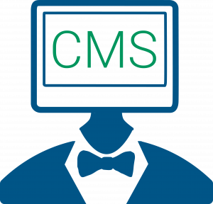 Headless CMS development