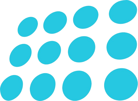 Custom nopCommerce Development